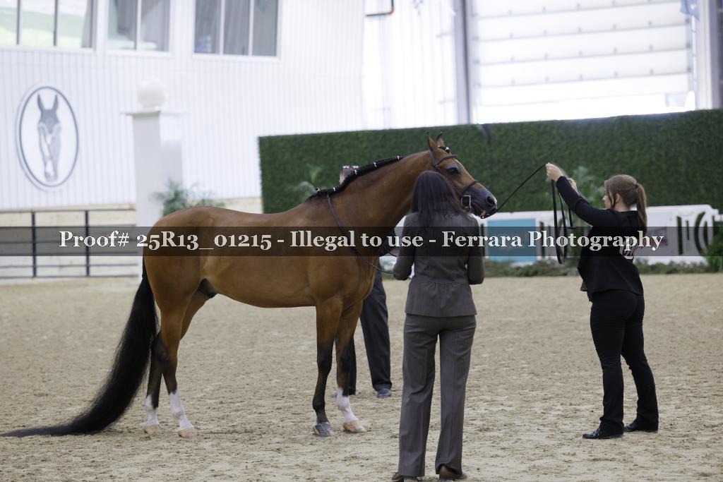 Proof Number 25R13_01215