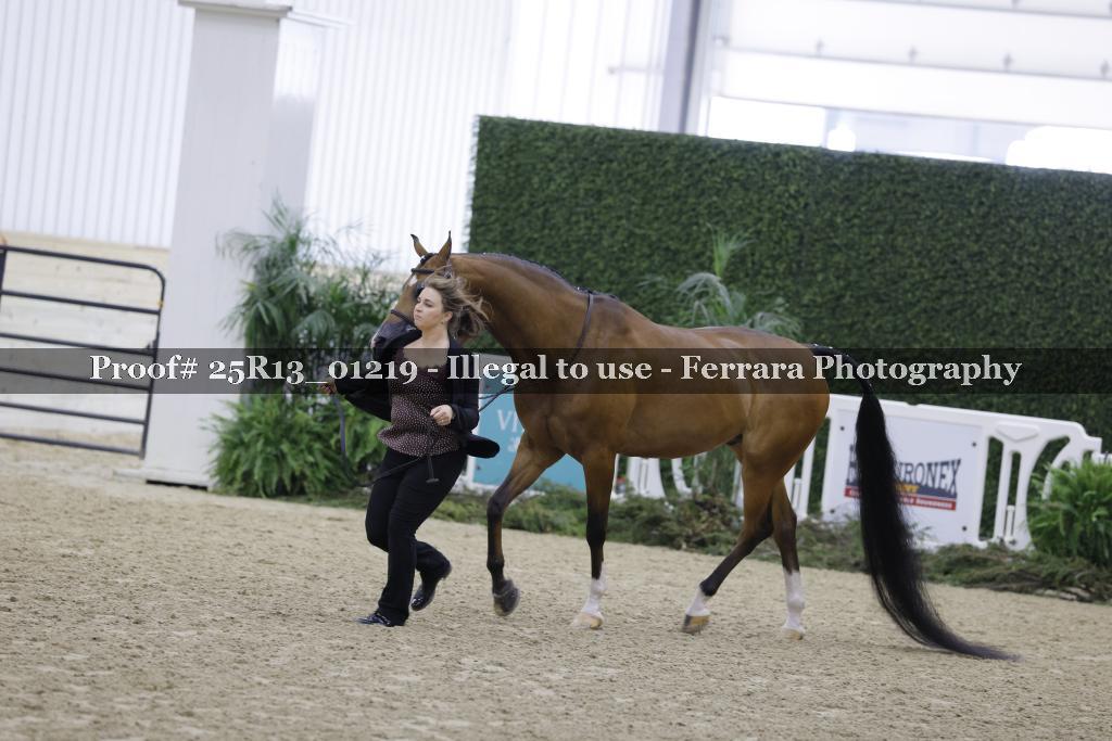 Proof Number 25R13_01219