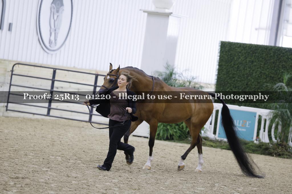 Proof Number 25R13_01220