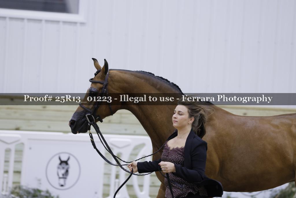 Proof Number 25R13_01223