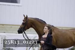 25R13_01223 thumbnail