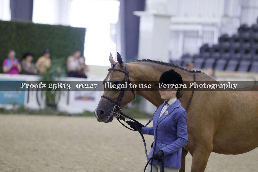 Proof Number 25R13_01227