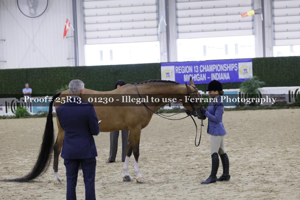 Proof Number 25R13_01230