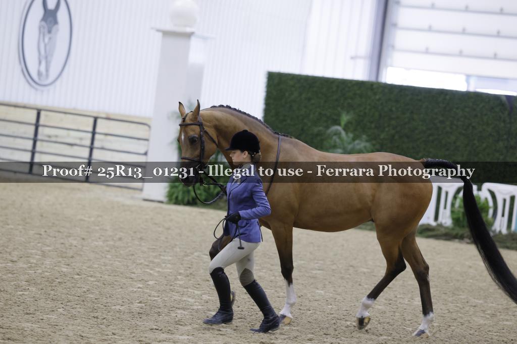 Proof Number 25R13_01231