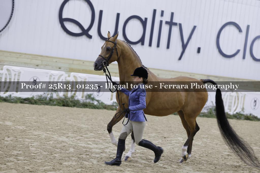 Proof Number 25R13_01235