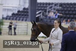 25R13_01239 thumbnail