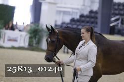 25R13_01240 thumbnail