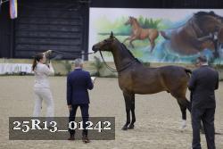 25R13_01242 thumbnail