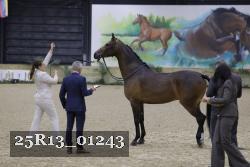 25R13_01243 thumbnail