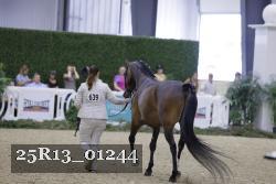 25R13_01244 thumbnail