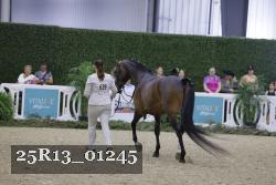 25R13_01245 thumbnail