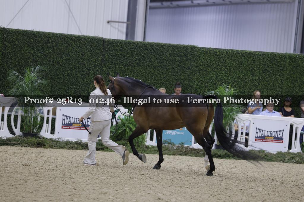 Proof Number 25R13_01246