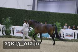 25R13_01246 thumbnail