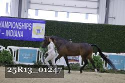 25R13_01247 thumbnail