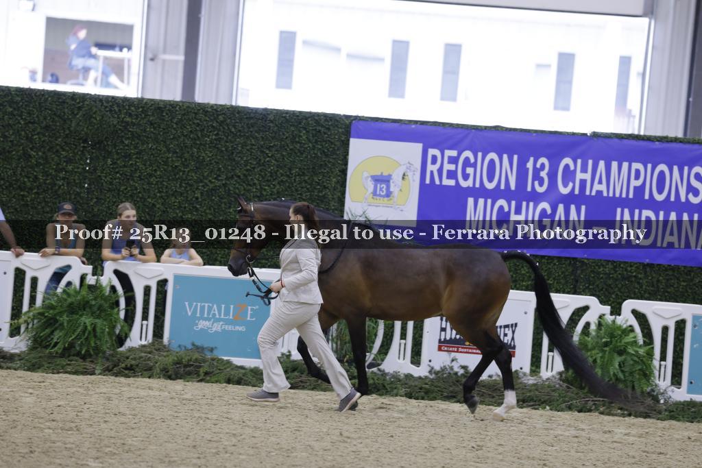 Proof Number 25R13_01248