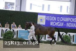 25R13_01248 thumbnail