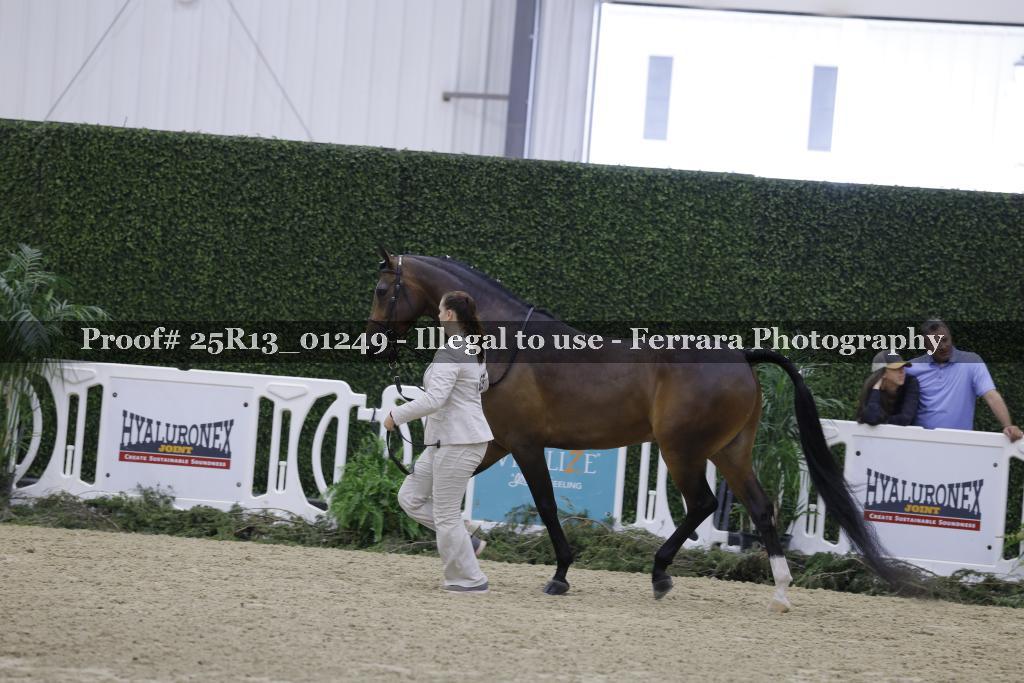 Proof Number 25R13_01249