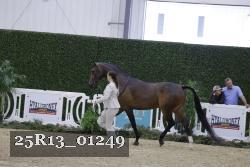 25R13_01249 thumbnail