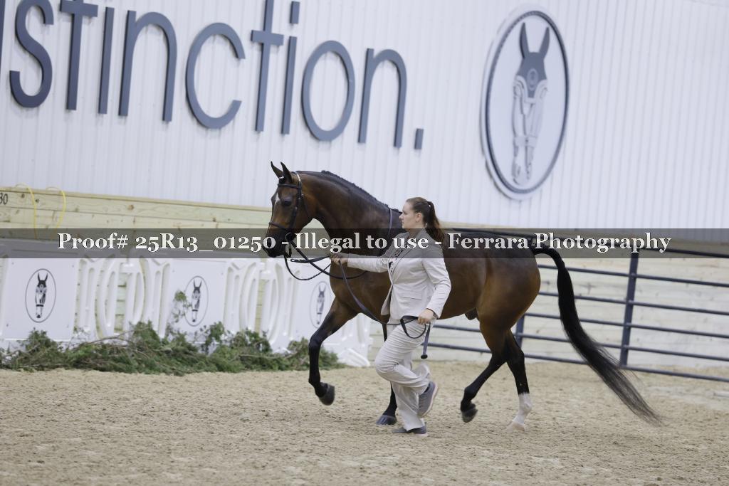 Proof Number 25R13_01250