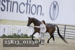 25R13_01250 thumbnail