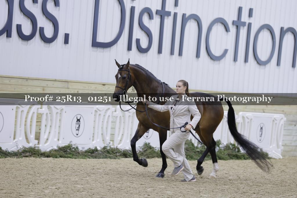 Proof Number 25R13_01251
