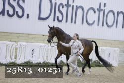 25R13_01251 thumbnail