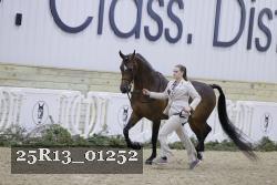 25R13_01252 thumbnail