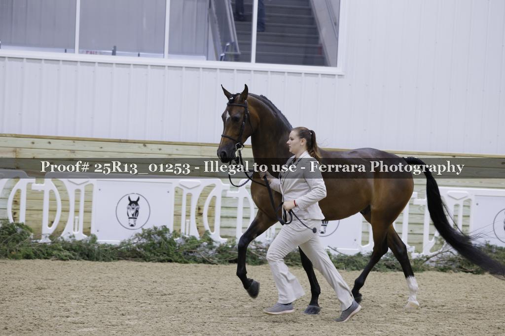 Proof Number 25R13_01253