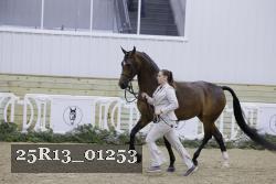 25R13_01253 thumbnail