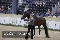 25R13_01254 thumbnail