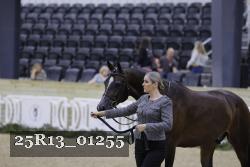 25R13_01255 thumbnail
