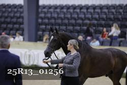 25R13_01256 thumbnail