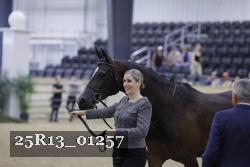 25R13_01257 thumbnail