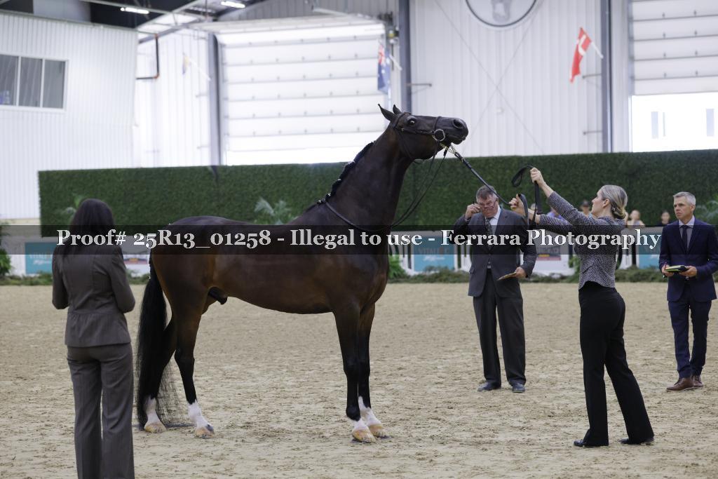 Proof Number 25R13_01258
