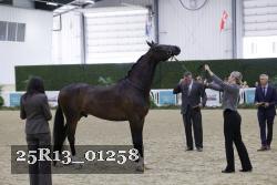 25R13_01258 thumbnail