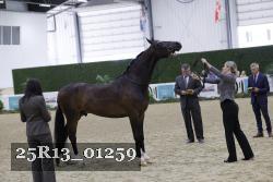 25R13_01259 thumbnail