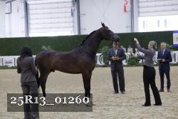25R13_01260 thumbnail