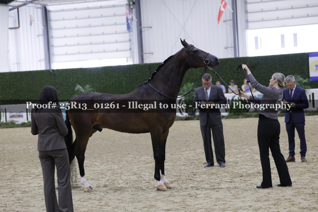 Proof Number 25R13_01261