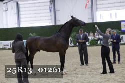 25R13_01261 thumbnail