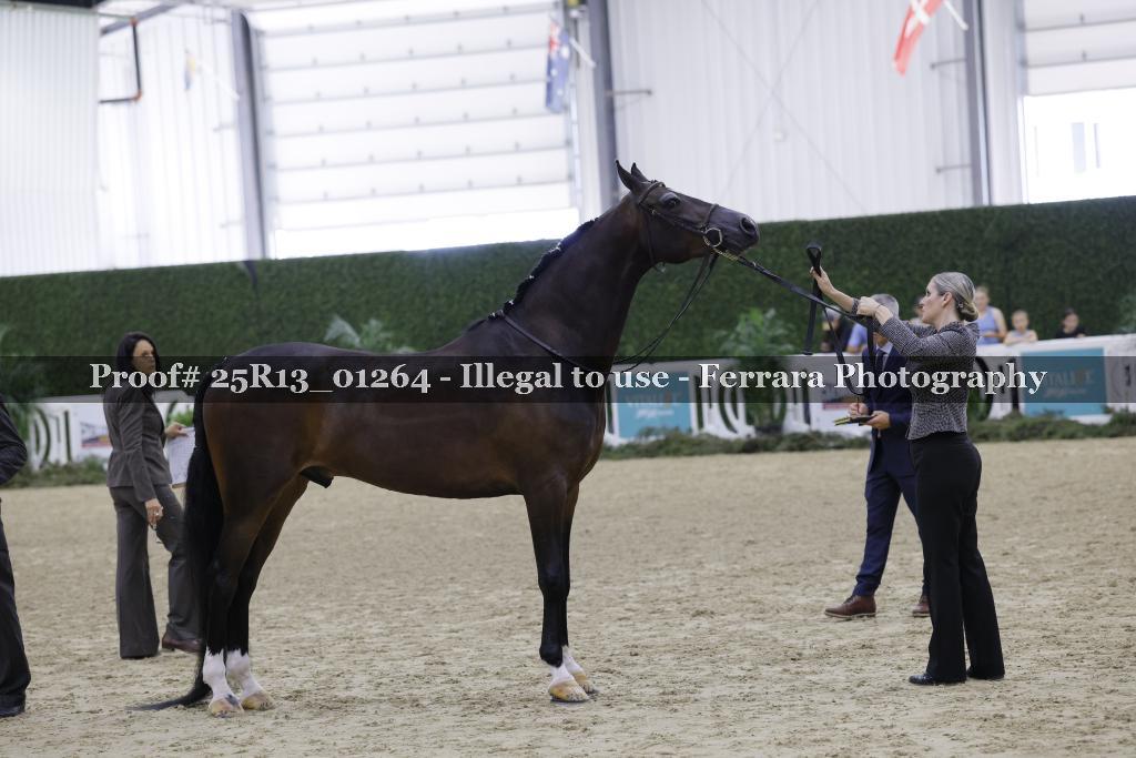 Proof Number 25R13_01264