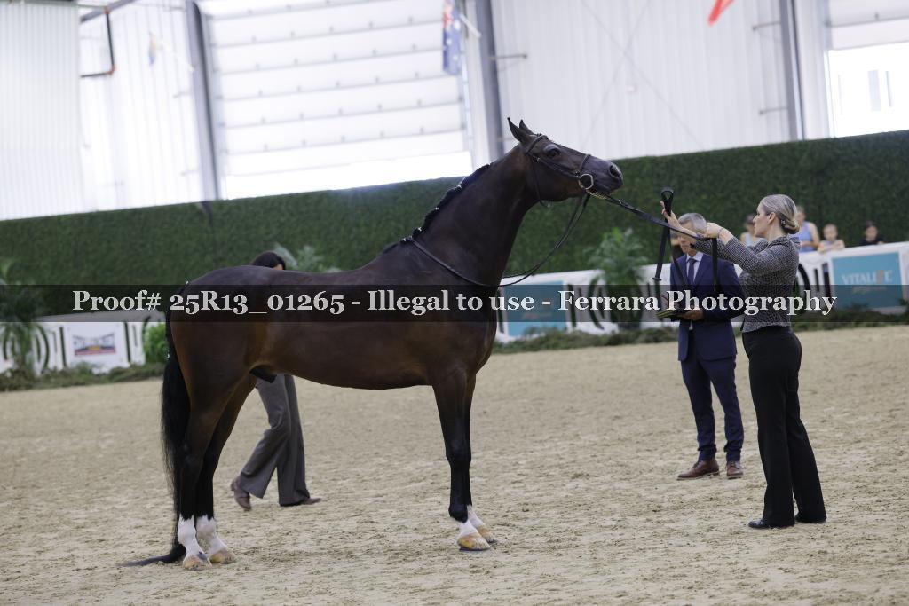 Proof Number 25R13_01265