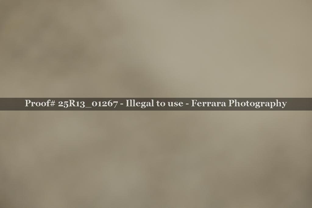Proof Number 25R13_01267