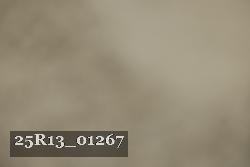 25R13_01267 thumbnail