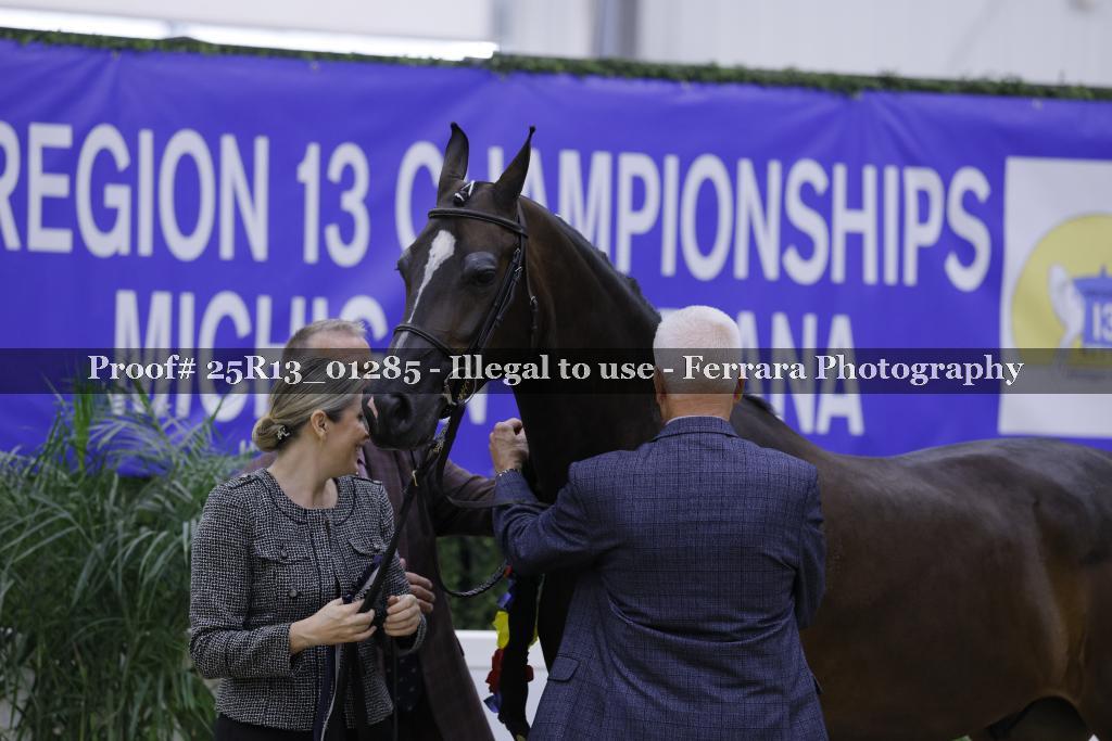 Proof Number 25R13_01285