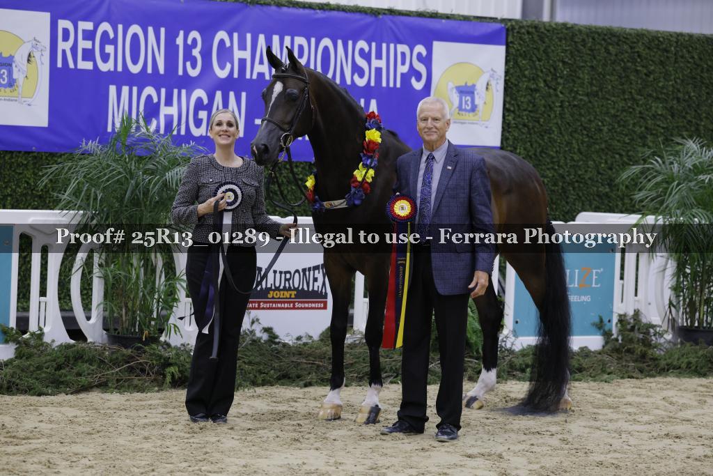 Proof Number 25R13_01289