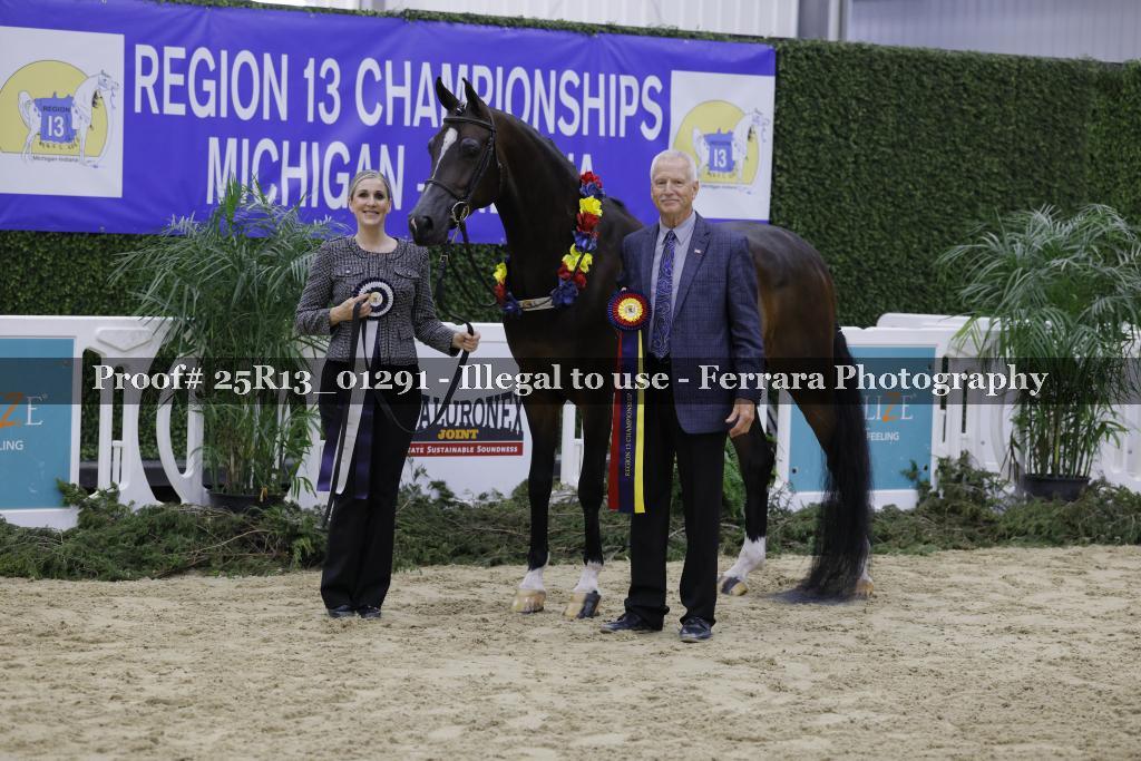 Proof Number 25R13_01291