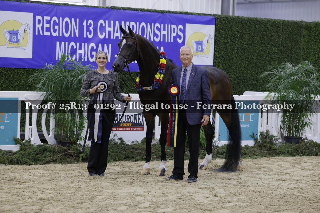Proof Number 25R13_01292