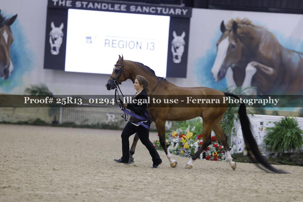 Proof Number 25R13_01294