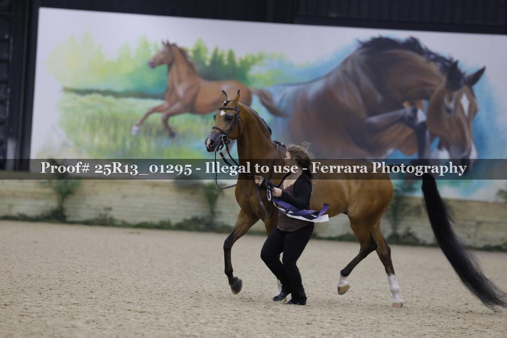 Proof Number 25R13_01295