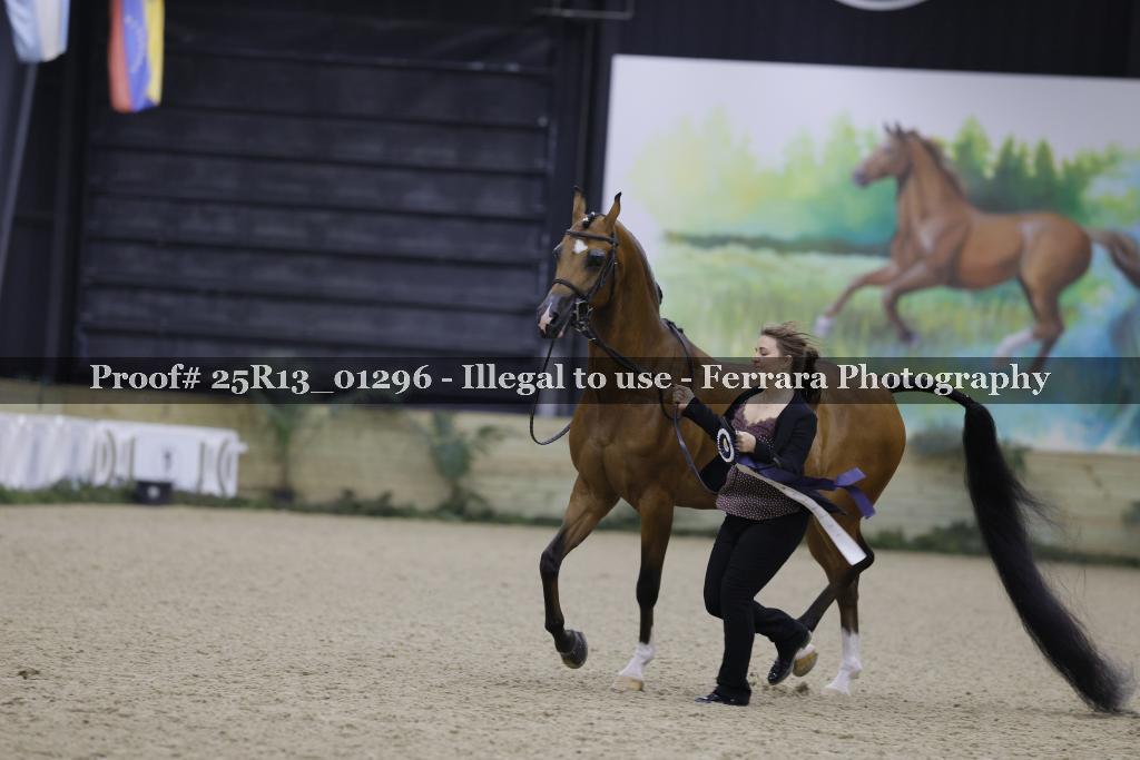 Proof Number 25R13_01296